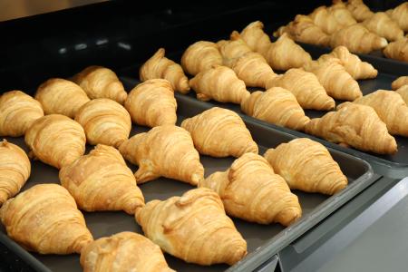 rotary convection oven,electric oven for bakery,